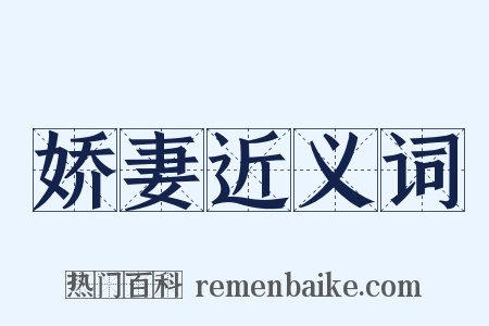 娇妻近义词是什么意思的图片